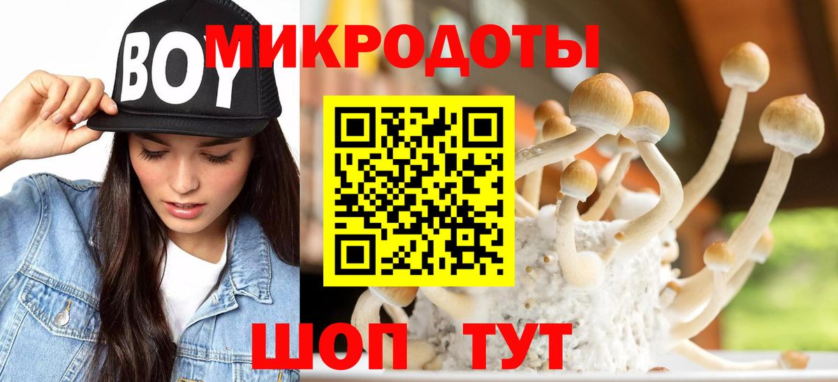 Мелеуз  Галлюциногенные грибы Cubensis  цены   Вход с VPN 